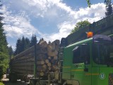 Odvoz predaného dreva - máj 2017