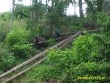 Ťažba dreva Stráne - jún 2017 