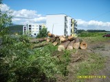 Ťažba dreva Stráne - jún 2017