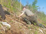 Sadenie stromkov - brigáda PZ Svätojánska dolina - jún 2017
