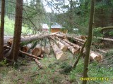 Skládka vyťaženého dreva - máj 2017